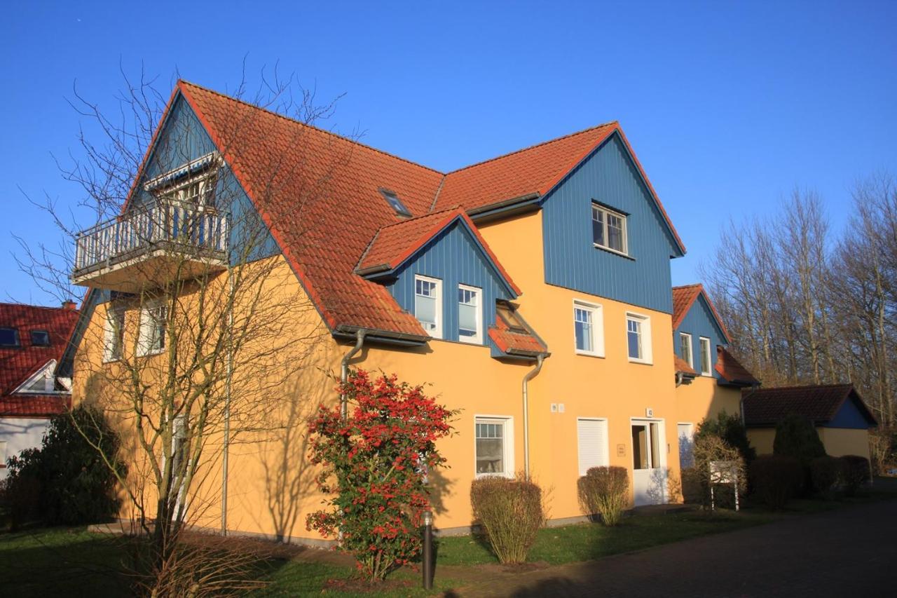 Haus Sonne Whg_3 Apartment Zingst Ngoại thất bức ảnh